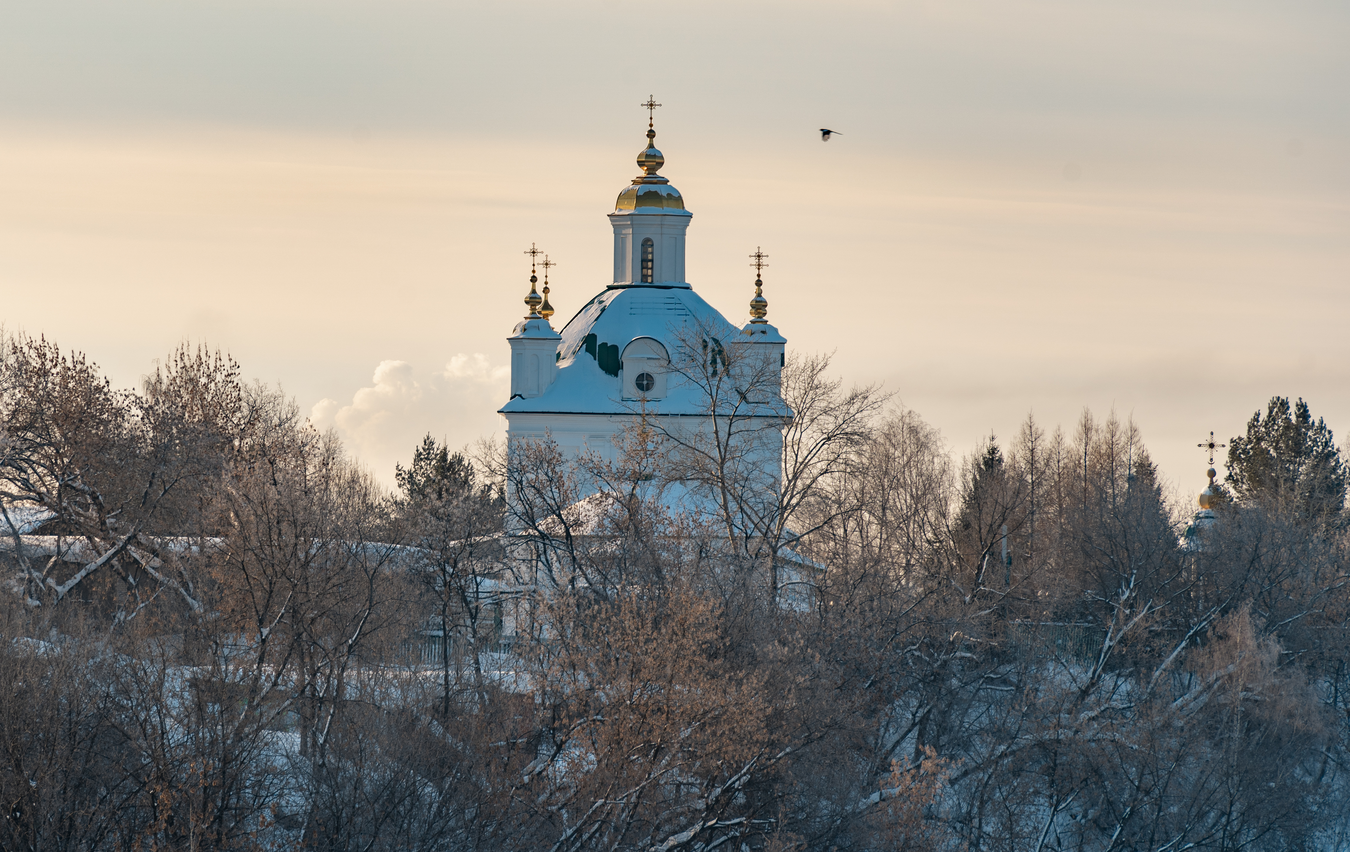Фон карточки